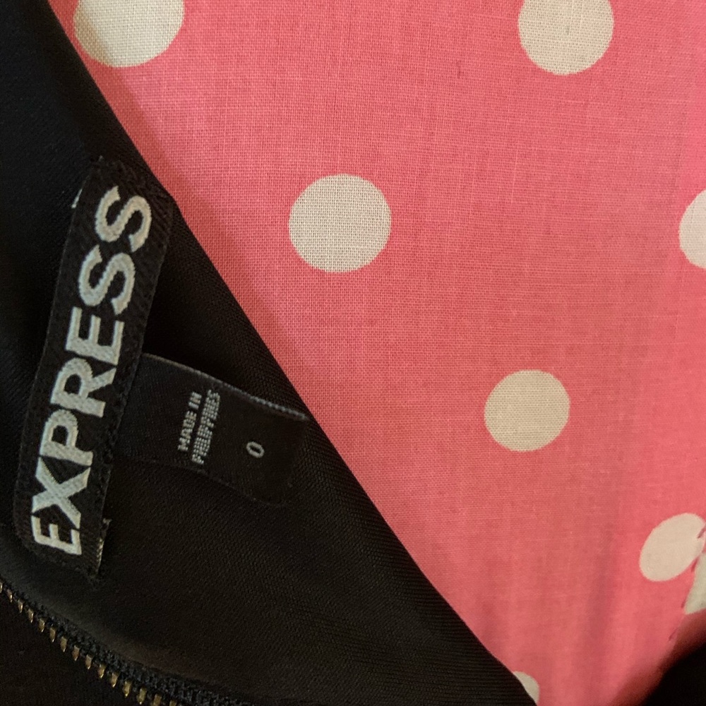 Express Dress - Picture 5 of 5